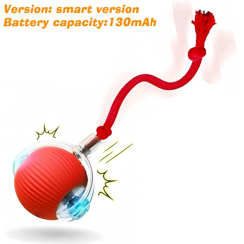 Petopia® SmartPlay Ball