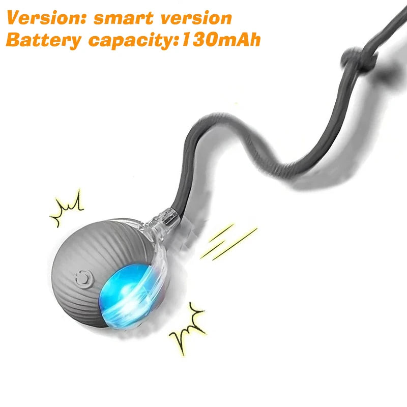 Petopia® SmartPlay Ball