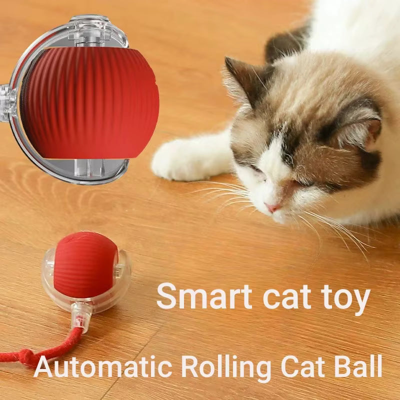 Petopia® SmartPlay Ball